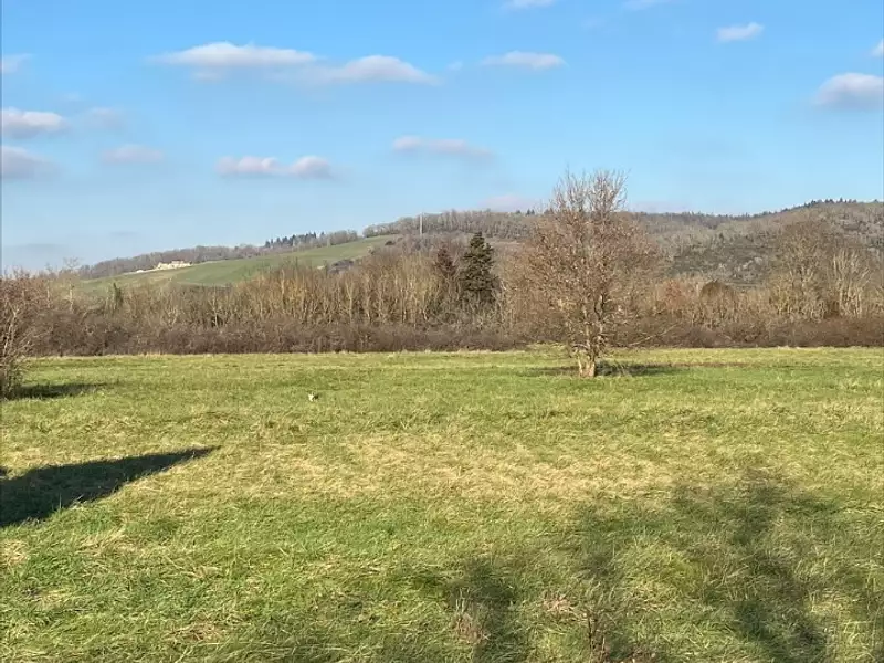 Maison neuve, 98 m² - Buzet-sur-Tarn (31660)