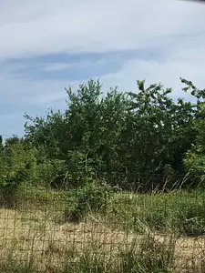 Maison neuve, 87 m²