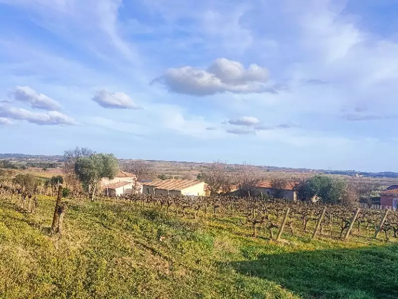 Terrain à bâtir, 1 643 m² - Autignac (34480)