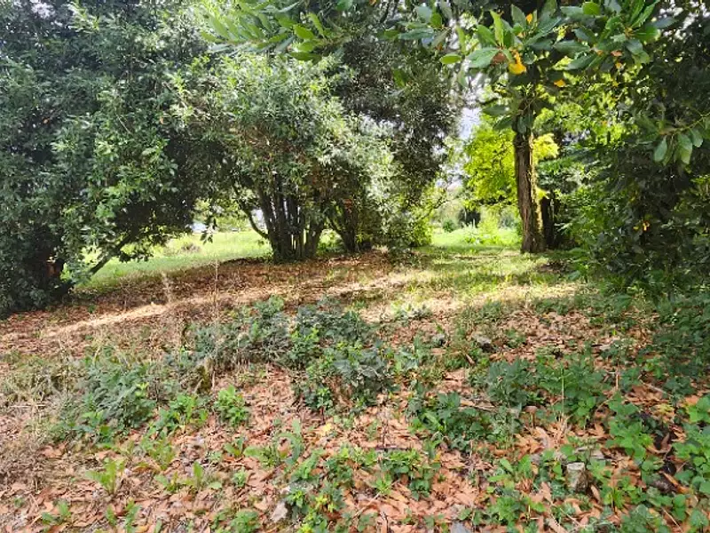 Terrain à bâtir, 580 m² - Lombers (81120)