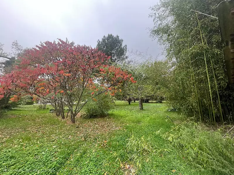 Terrain à bâtir, 946 m² - Sauternes (33210)
