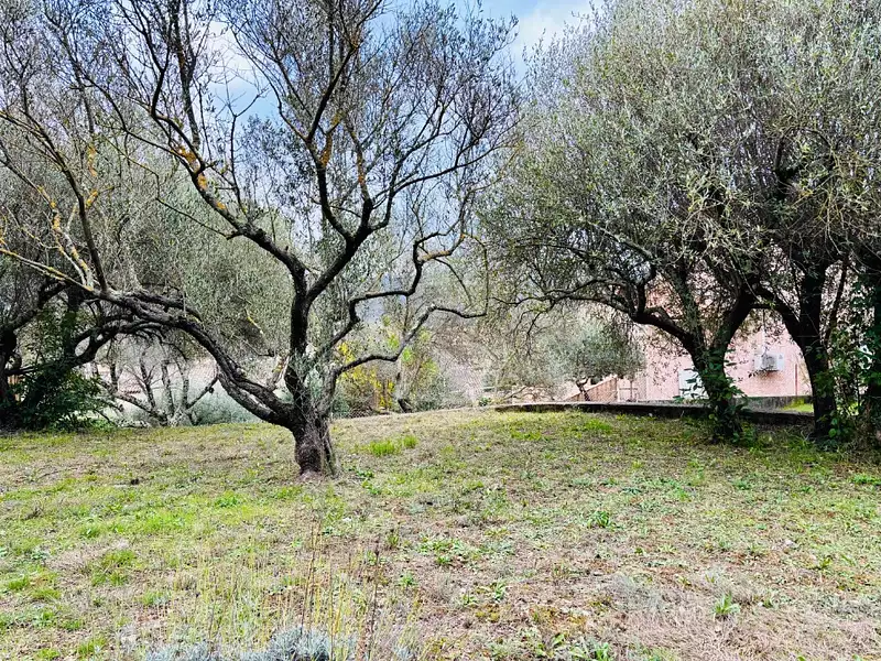 Terrain à bâtir, 710 m² - Pignans (83790)