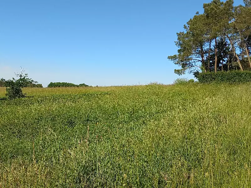 Terrain à bâtir, 5 878 m² - Echourgnac (24410)