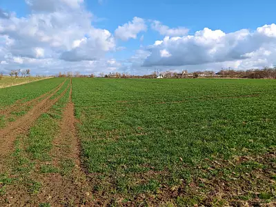 Maison neuve, 100 m²