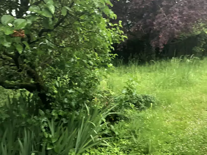 Terrain à bâtir, 438 m² - Saint-Rémy-lès-Chevreuse (78470)