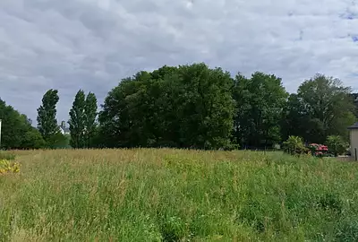 Terrain à bâtir, 1 350 m²