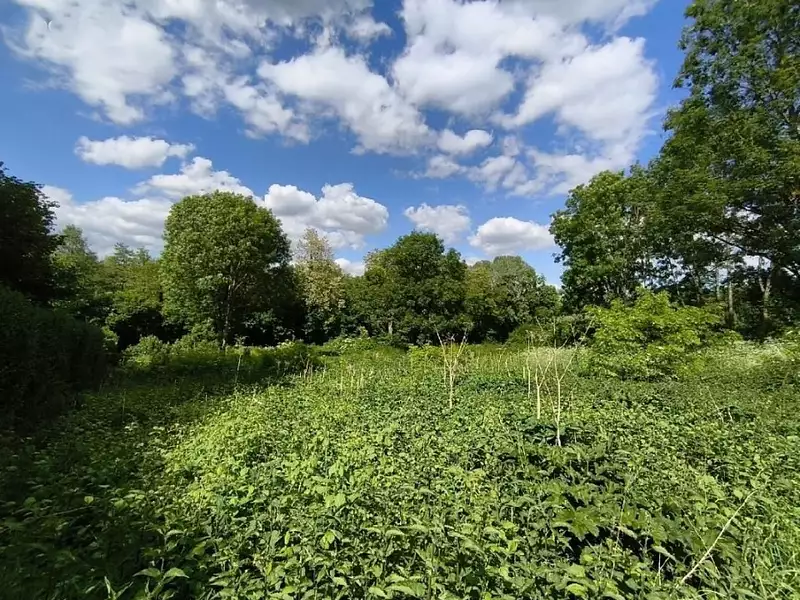 Terrain à bâtir, 2 485 m² - Vallangoujard (95810)