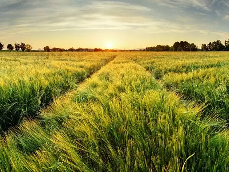 Terrain à bâtir, 328 m² - Mouilleron-le-Captif (85000)