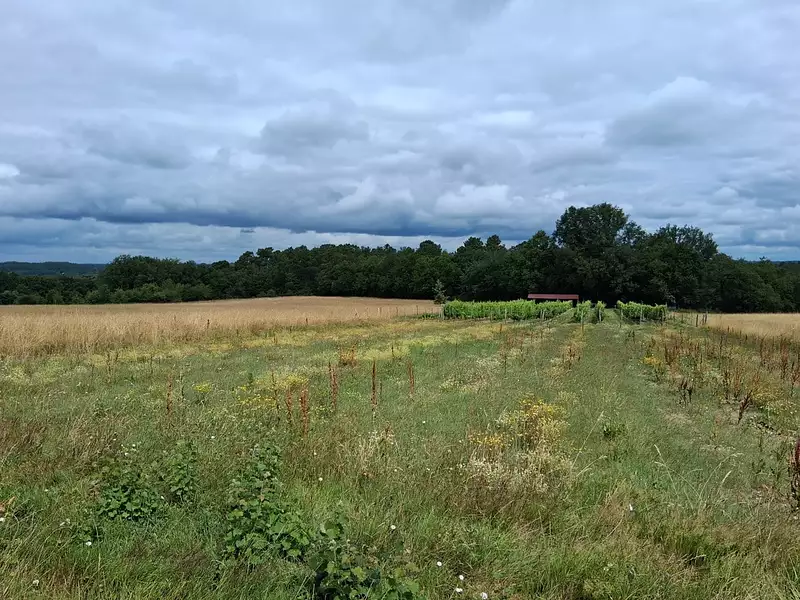 Terrain à bâtir, 2 242 m² - Eyraud-Crempse-Maurens (24130)