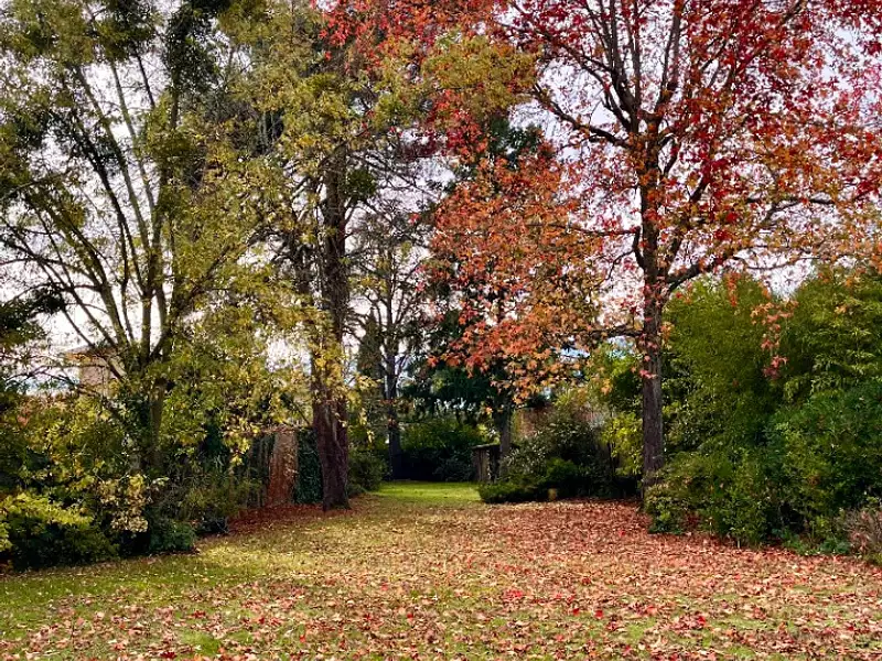 Terrain à bâtir, 424 m² - Bordeaux (33200)