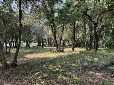 Terrain à bâtir, 1 317 m²