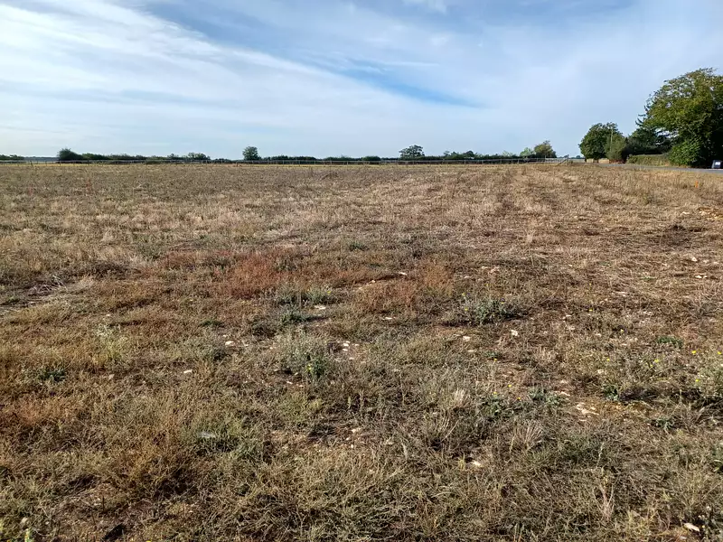 Terrain à bâtir, 609 m² - Saint-Martin-la-Pallu (86380)