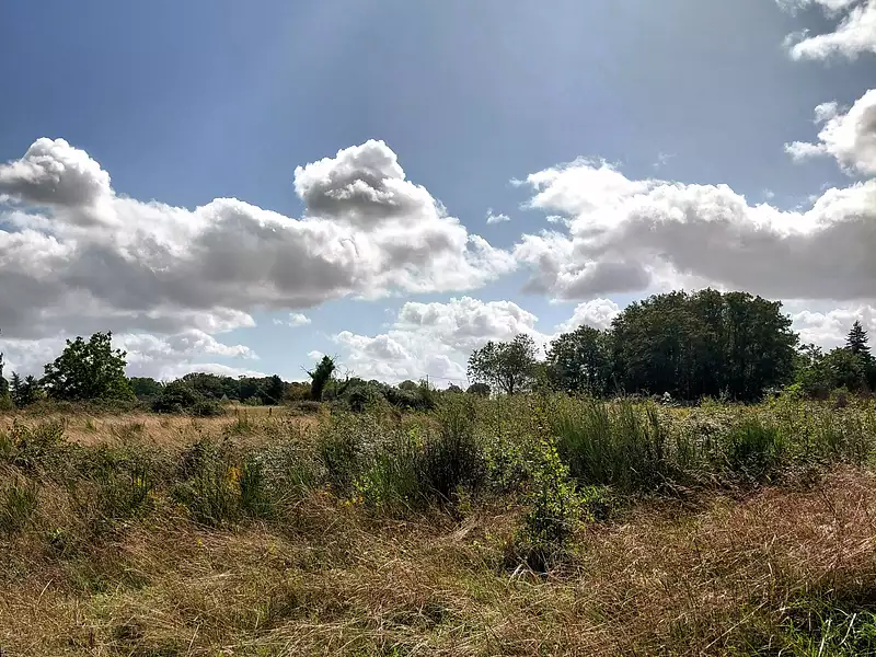 Terrain à bâtir, 512 m² - Veigné (37250)