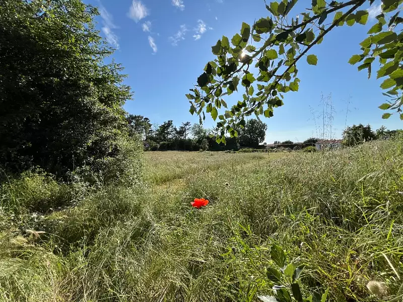 Terrain à bâtir, 862 m² - Saint-Jean-de-Monts (85160)