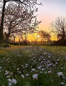 Maison neuve, 132 m²