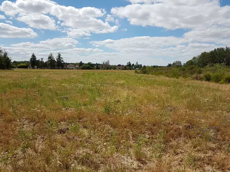 Terrain à bâtir, 421 m² - Vienne-en-Val (45510)