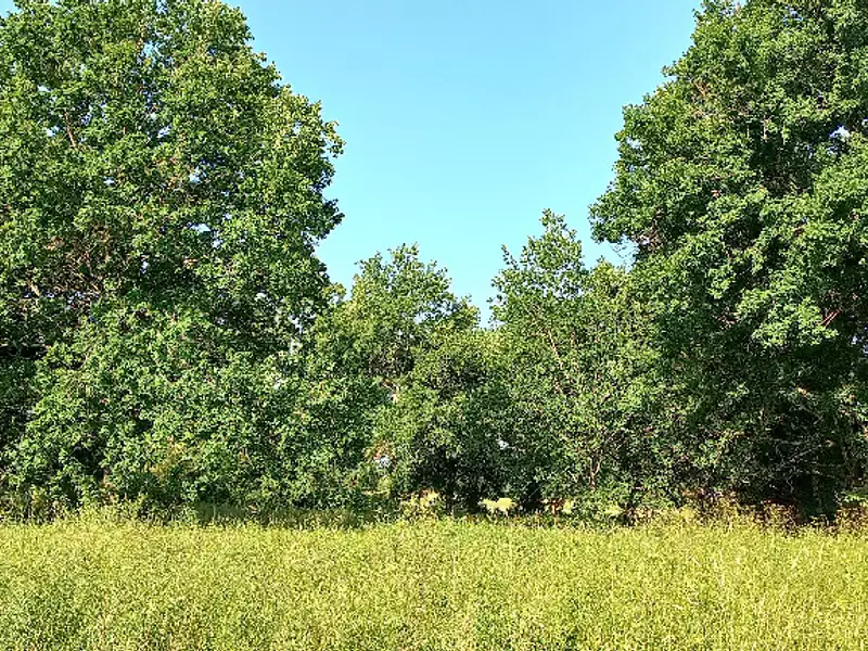 Terrain à bâtir, 3 300 m² - Montpon-Ménestérol (24700)