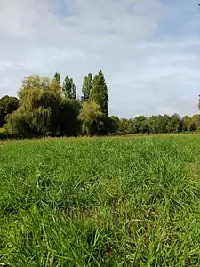 Maison neuve, 63 m²