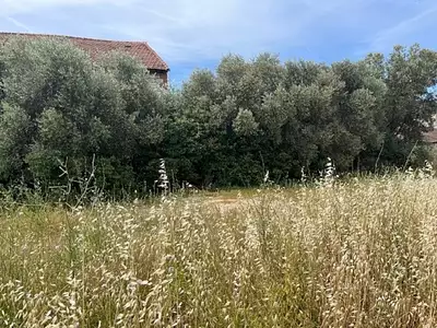 Terrain à bâtir, 485 m²