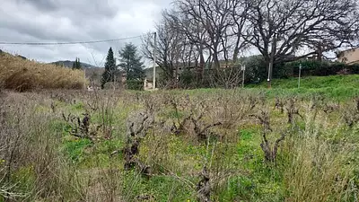 Maison neuve, 99 m²