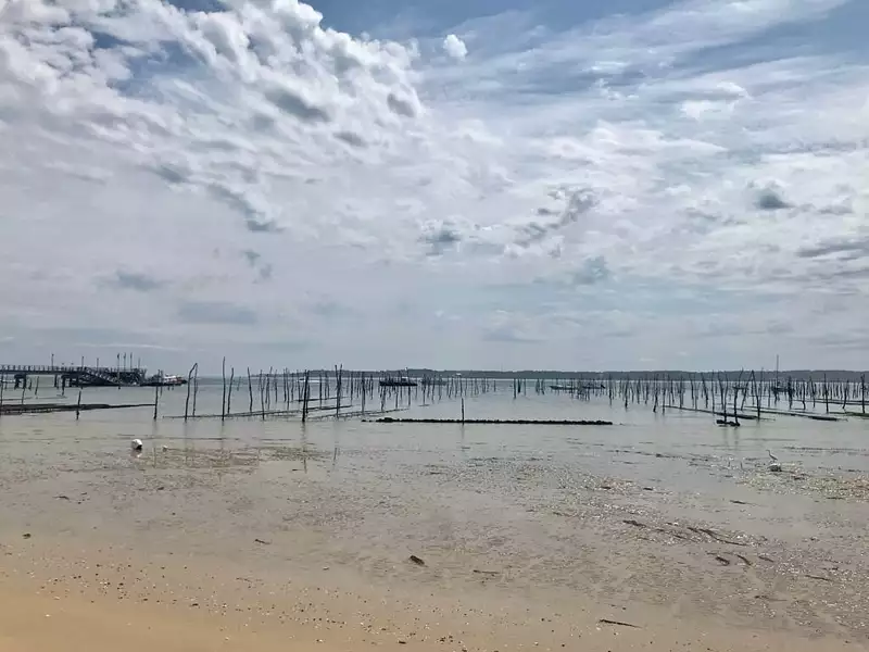 Villas Beaurivage - Arcachon (33120)