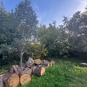 Terrain à bâtir, 394 m²