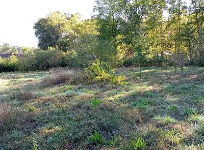 Terrain à bâtir, 1 105 m²