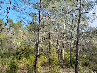 Maison neuve, 110 m²