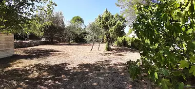 Terrain à bâtir, 1 155 m²