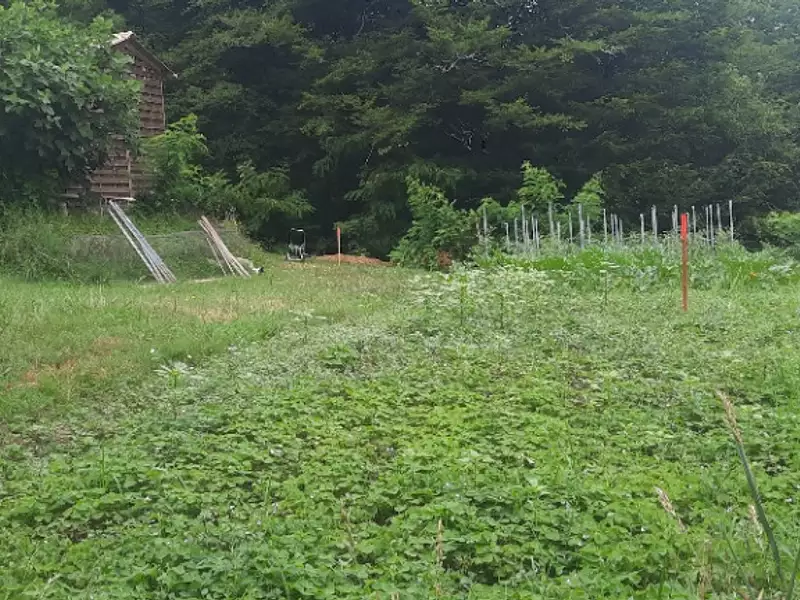 Terrain à bâtir, 660 m² - Créon (33670)