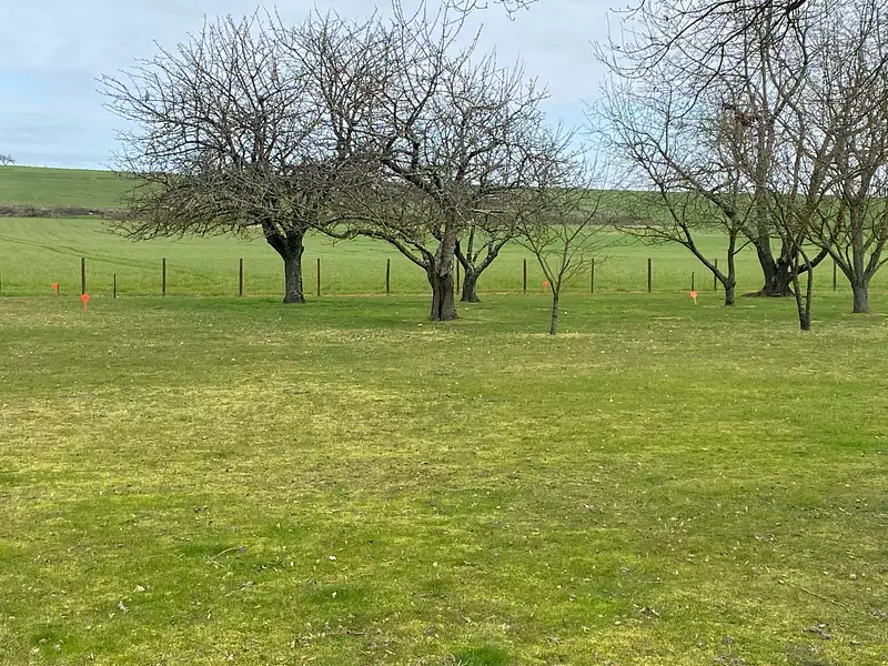 Maison neuve, 85 m² - Luché-Pringé (72800)