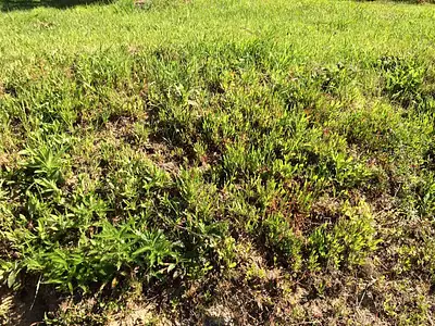 Terrain à bâtir, 280 m²