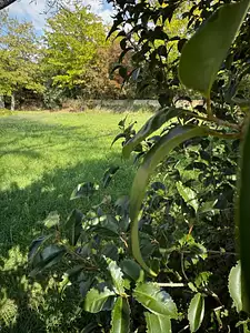 Terrain à bâtir, 587 m²