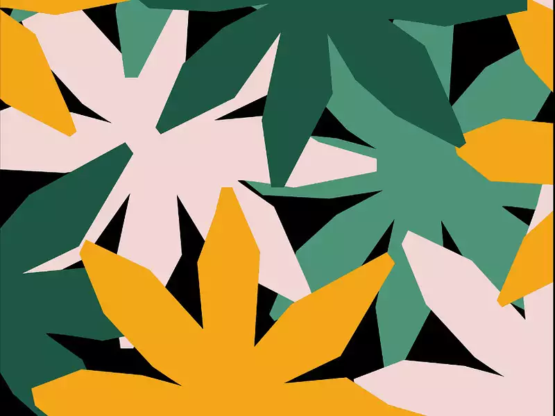 BADIANE - Guichen (35580)