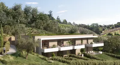 Le clos des oliviers