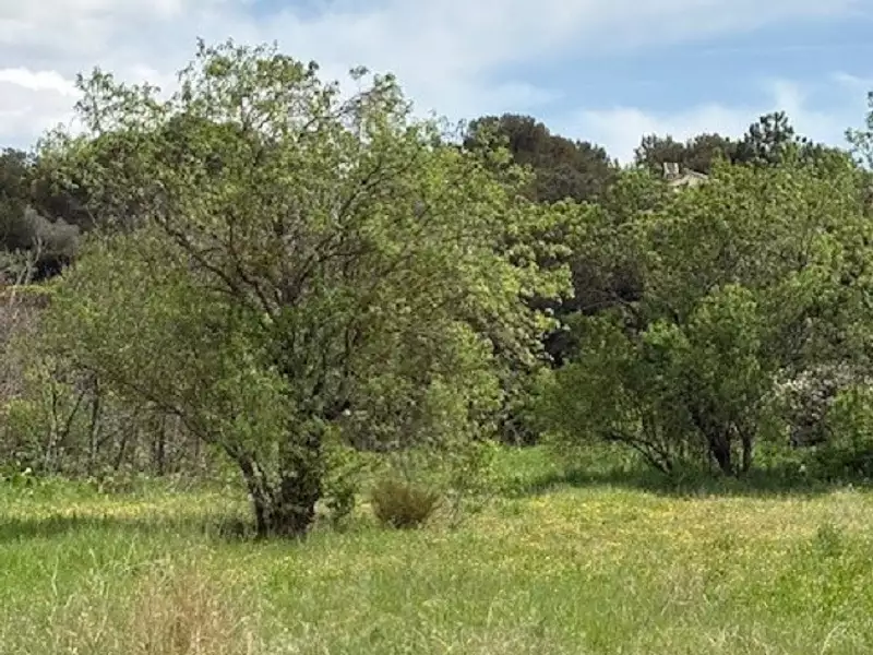 Terrain à bâtir, 440 m² - Septèmes-les-Vallons (13240)