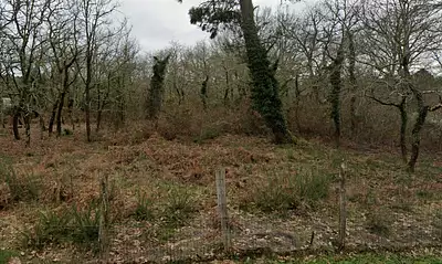 Maison neuve, 112 m²