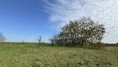 Terrain à bâtir, 1 300 m²
