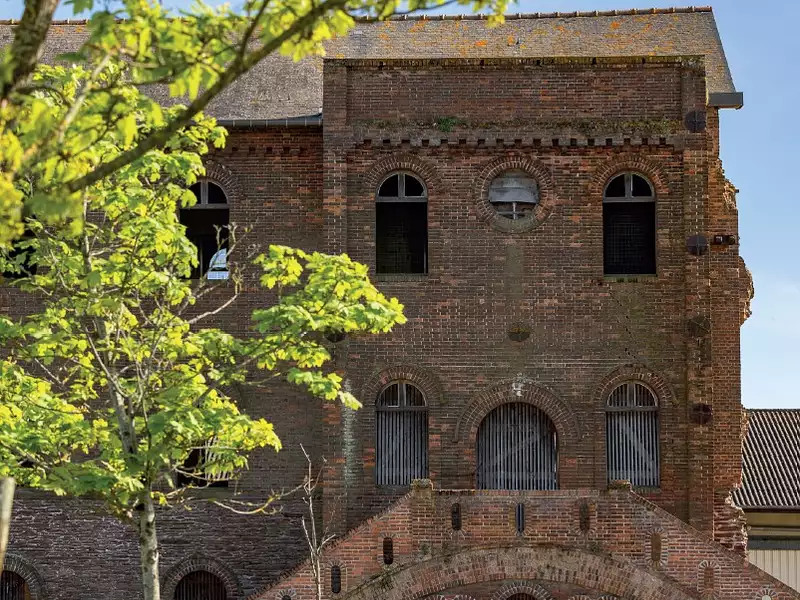 Plume - Pont-Péan (35131)