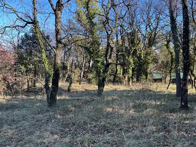 Terrain à bâtir, 675 m²