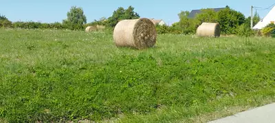 Terrain à bâtir, 4 000 m²