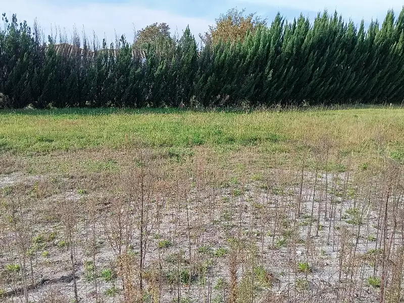 Terrain à bâtir, 600 m² - Biganos (33380)
