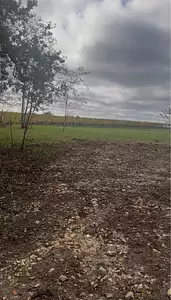 Terrain à bâtir, 5 000 m²