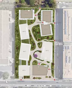 OMANA MONTPELLIER SUD