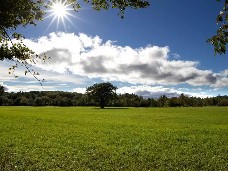 Terrain à bâtir, 450 m² - Artannes-sur-Indre (37260)