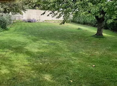 Terrain à bâtir, 487 m²