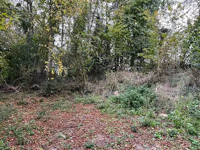 Maison neuve, 150 m²