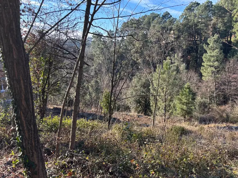 Terrain à bâtir, 4 000 m² - Joyeuse (07260)