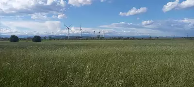 Terrain à bâtir, 73 000 m²