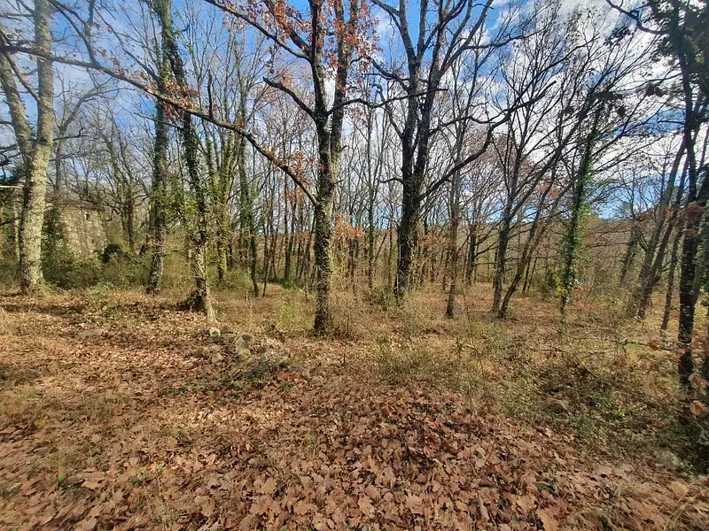 Maison neuve, 100 m² - Chambonas (07140)